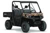 Can-Am Defender DPS HD10 2018